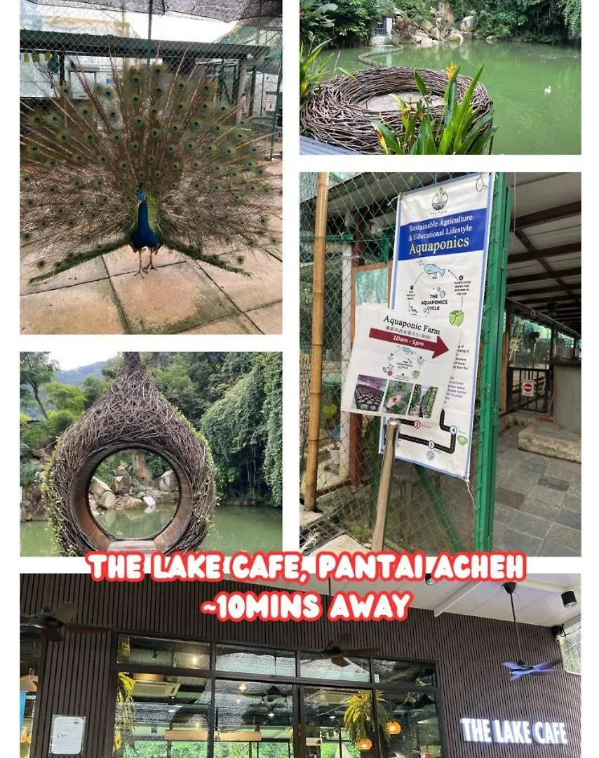 Nyaman Sweet Home Balik Pulau Daire